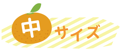 中サイズ